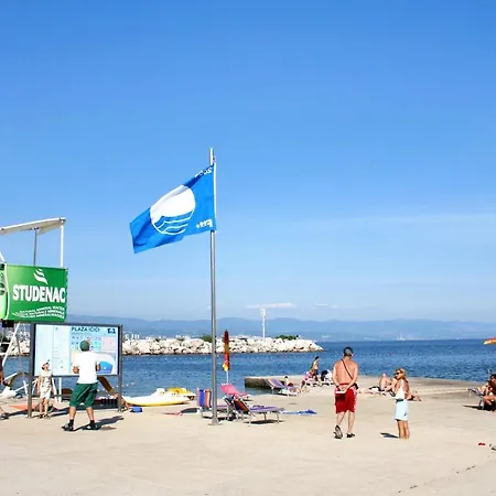 Апартаменты With A Parking Space Icici, Opatija - 7859 Ичичи